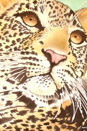 Leopard, Acrylic Painting by Dzmond