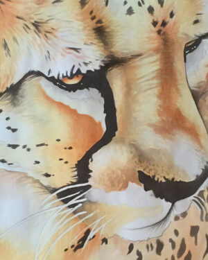 Cheetah